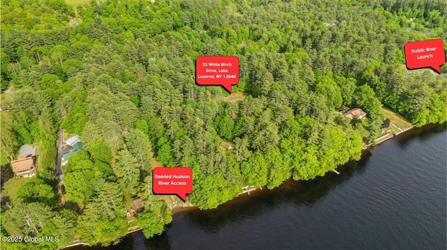 33 White Birch Dr, Lake Luzerne, NY 12846 - aerial view of property and surrounding area featuring a heavily wooded area and a nearby body of water