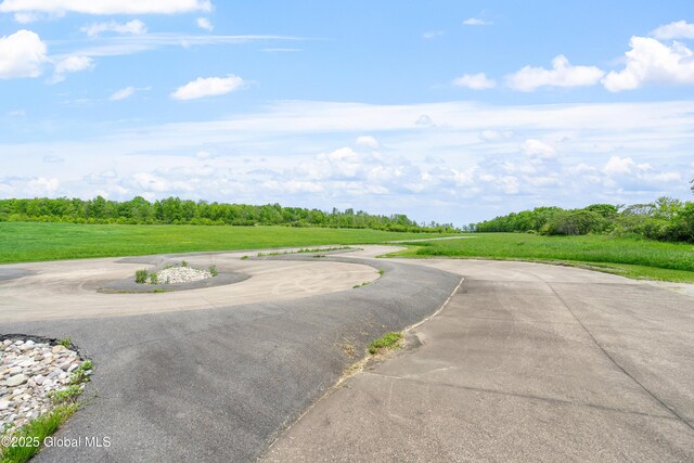 1310 Currybush Rd, Rotterdam, NY 12306 - view of street