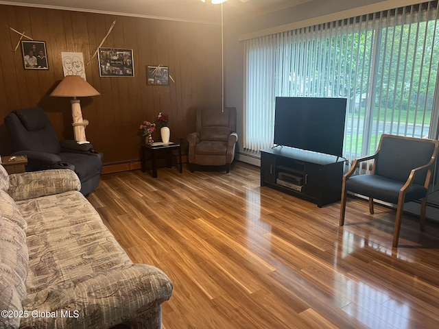 9 Potter St, Glens Falls, NY 12801 - living room featuring a baseboard radiator, wood finished floors, and wood walls