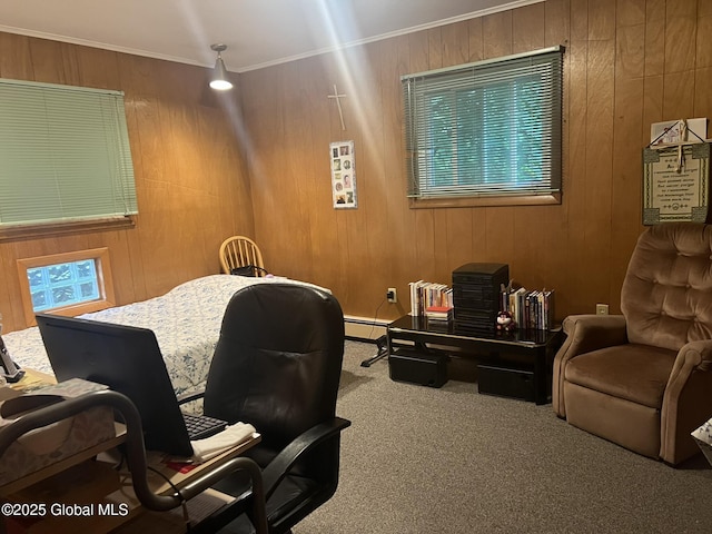 9 Potter St, Glens Falls, NY 12801 - carpeted home office featuring wood walls, baseboard heating, and ornamental molding