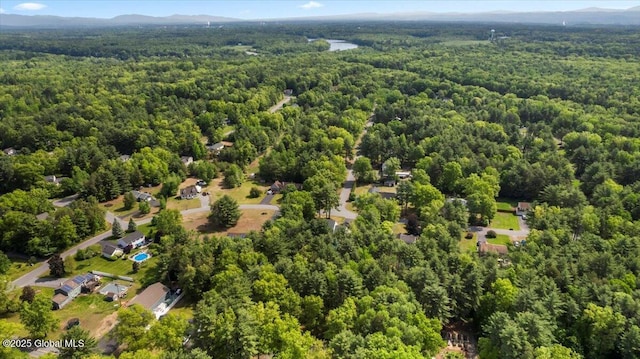 140 Redmond Rd, Moreau, NY 12831 - bird's eye view of a heavily wooded area
