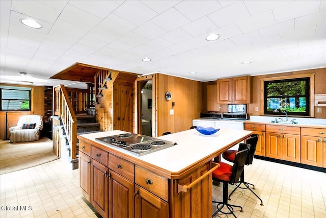 9 Chippewa Loop, Horicon, NY 12815 - photo 21
