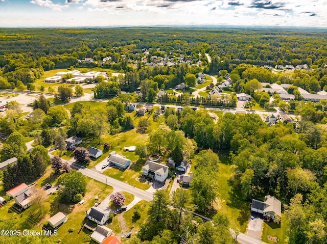 7116 Fuller Station Rd, Schenectady, NY 12303 - aerial perspective of suburban area with a forest