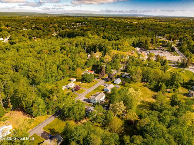 7116 Fuller Station Rd, Schenectady, NY 12303 - drone / aerial view of a heavily wooded area
