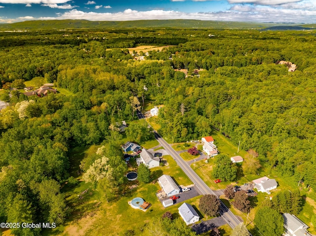 7116 Fuller Station Rd, Schenectady, NY 12303 - aerial view of a forest