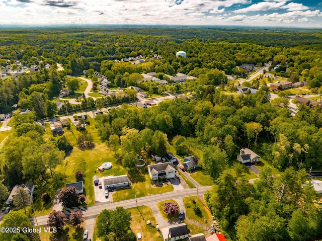 7116 Fuller Station Rd, Schenectady, NY 12303 - bird's eye view of a forest