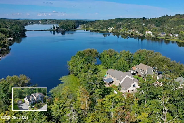 2085 Weast Rd, Princetown, NY 12137 - view of property location with property parcel outlined, a nearby body of water, and a forest