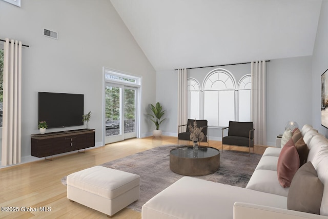 2085 Weast Rd, Princetown, NY 12137 - living room featuring high vaulted ceiling, wood finished floors, and baseboards
