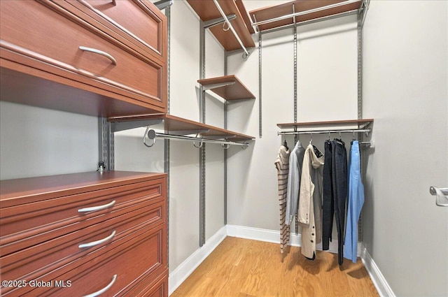 2085 Weast Rd, Princetown, NY 12137 - spacious closet with light wood-type flooring