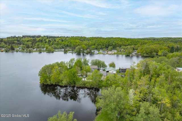 2085 Weast Rd, Princetown, NY 12137 - water view featuring a forest