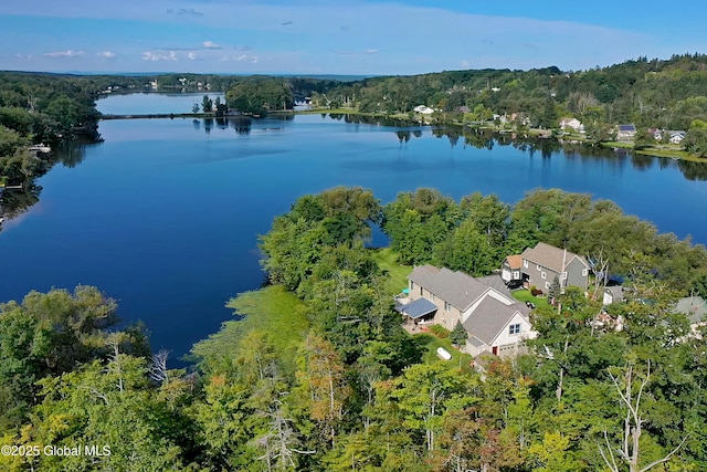 2085 Weast Rd, Princetown, NY 12137 - drone / aerial view of a large body of water and a heavily wooded area