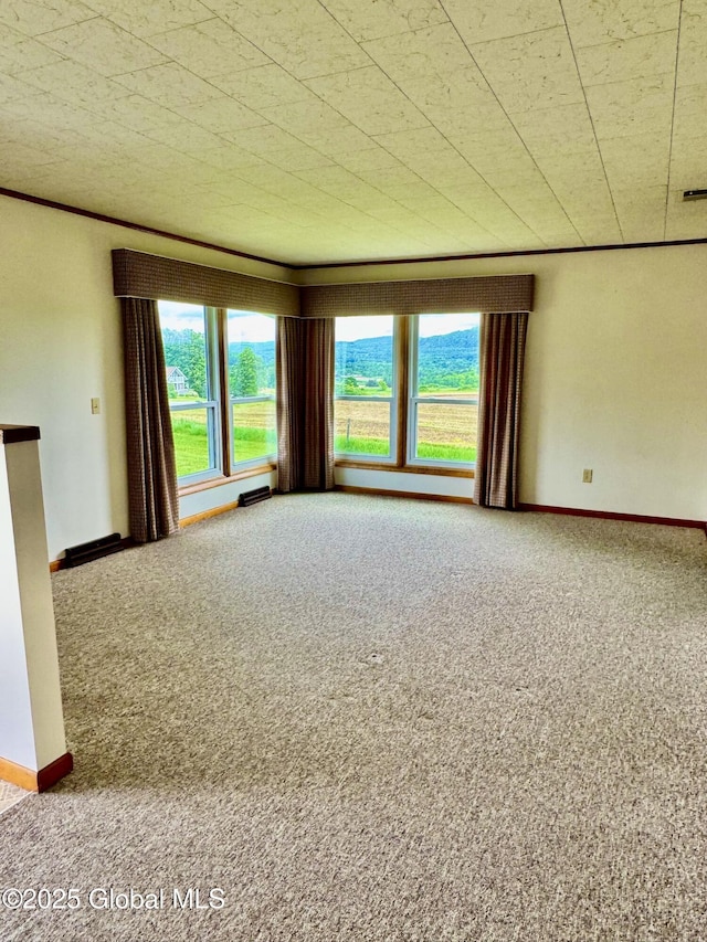 210 County Route 44, Argyle, NY 12809 - carpeted empty room with plenty of natural light and baseboards