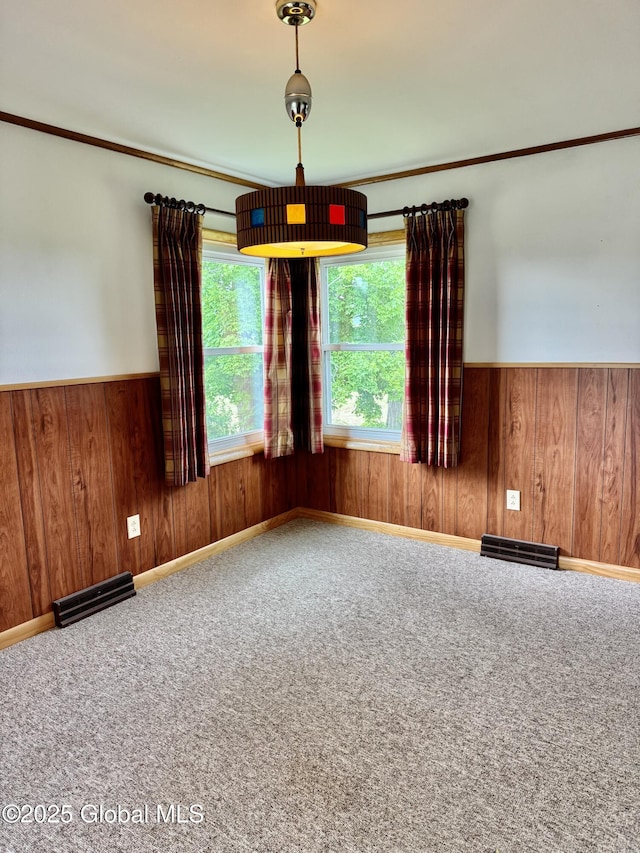 210 County Route 44, Argyle, NY 12809 - unfurnished room with plenty of natural light, a wainscoted wall, wood walls, and carpet floors