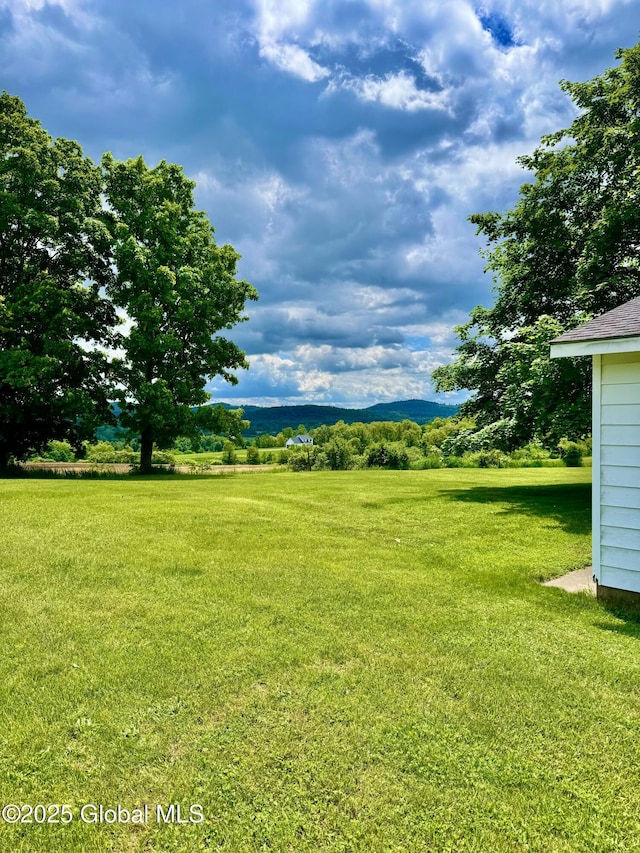 210 County Route 44, Argyle, NY 12809 - view of green lawn