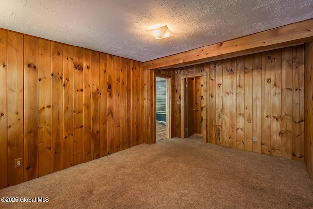 241 Kunkel Rd, Mayfield, NY 12117 - spare room featuring carpet, wooden walls, and a textured ceiling