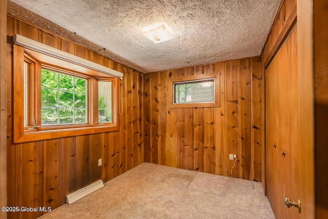 241 Kunkel Rd, Mayfield, NY 12117 - unfurnished room featuring baseboard heating, a textured ceiling, carpet floors, and wood walls