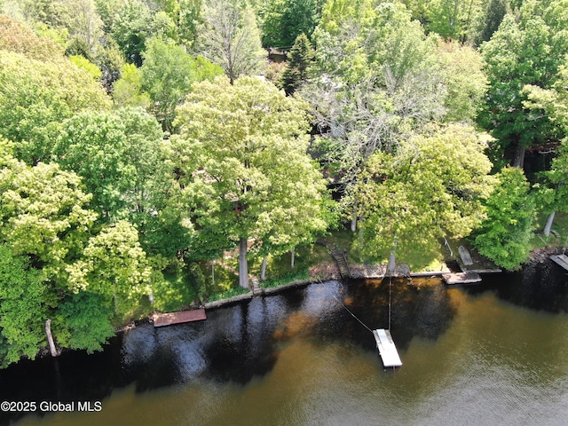 241 Kunkel Rd, Mayfield, NY 12117 - water view