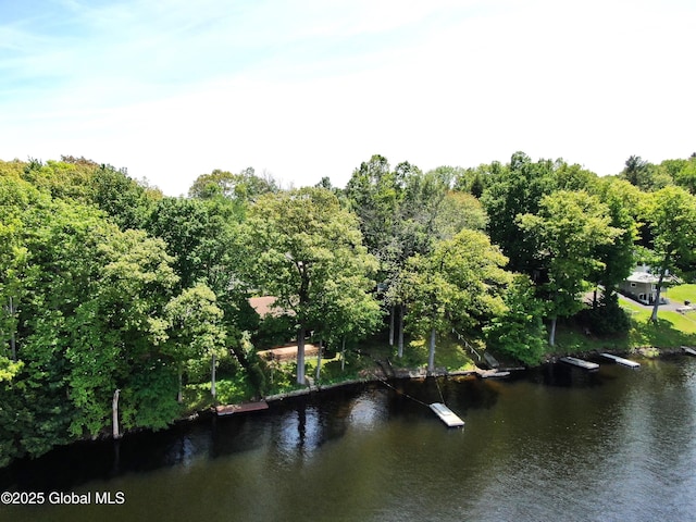 241 Kunkel Rd, Mayfield, NY 12117 - water view
