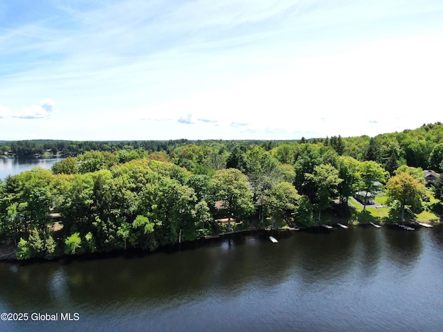 241 Kunkel Rd, Mayfield, NY 12117 - water view with a forest