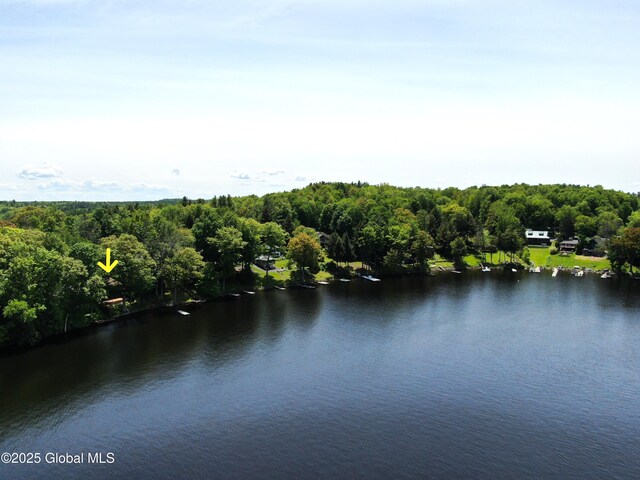 241 Kunkel Rd, Mayfield, NY 12117 - water view featuring a heavily wooded area