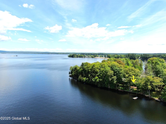 241 Kunkel Rd, Mayfield, NY 12117 - water view