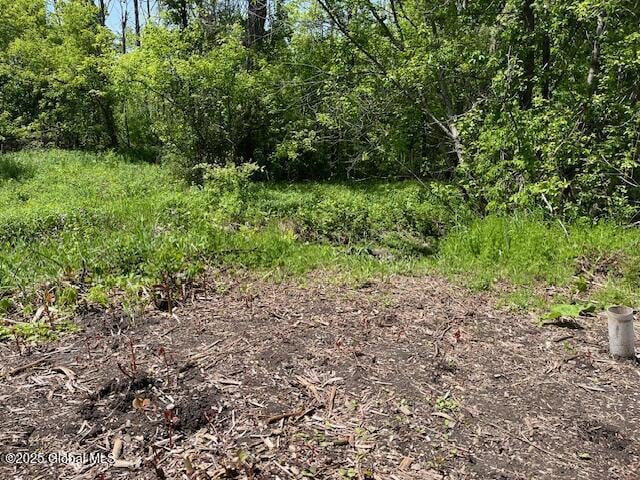 854 Millers Corners Rd, Florida, NY 12053 - view of undeveloped land
