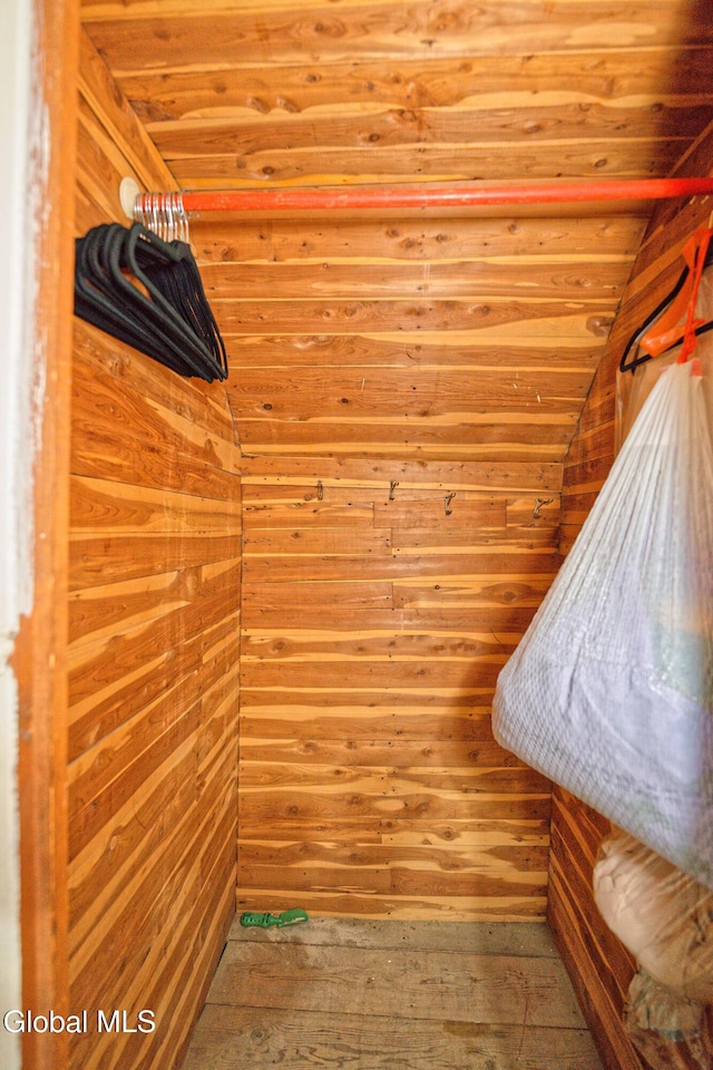 5 Kakely St, Albany, NY 12208 - walk in closet featuring vaulted ceiling