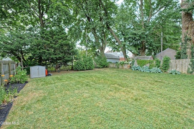 5 Kakely St, Albany, NY 12208 - fenced backyard featuring a storage unit