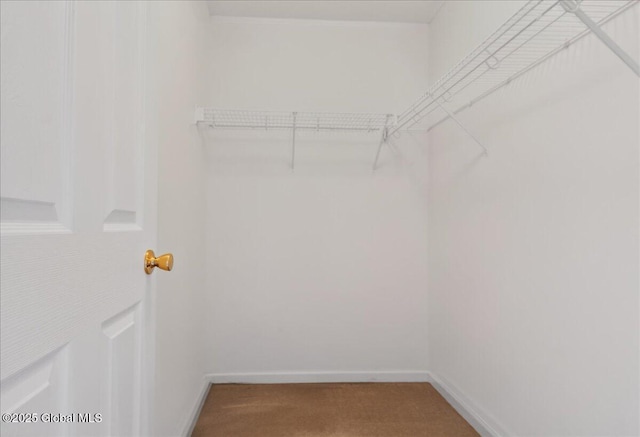 21 Fairway Dr Unit B, Mechanicville, NY 12118 - spacious closet with carpet floors