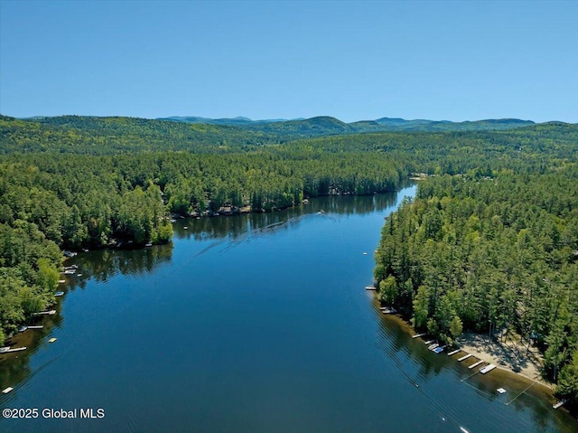 209 Chester Shores Rdg, Chester, NY 12817 - aerial view of a heavily wooded area and a water and mountain view