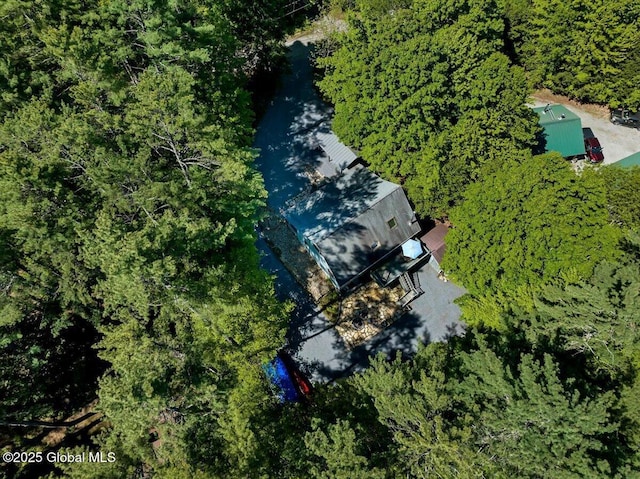 209 Chester Shores Rdg, Chester, NY 12817 - view from above of property