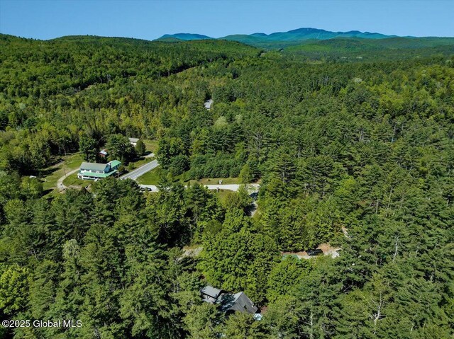 209 Chester Shores Rdg, Chester, NY 12817 - aerial view of property's location with a heavily wooded area and a mountainous background