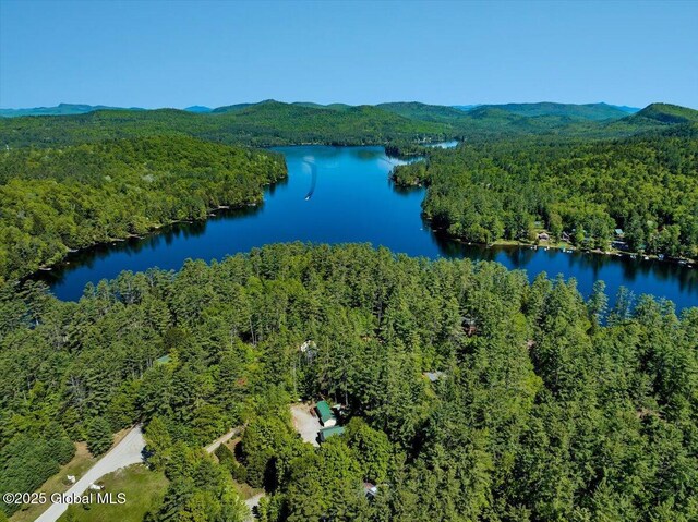 209 Chester Shores Rdg, Chester, NY 12817 - bird's eye view of a forest and a water and mountain view
