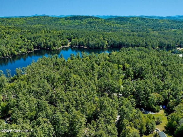 209 Chester Shores Rdg, Chester, NY 12817 - aerial view of a heavily wooded area and a water and mountain view