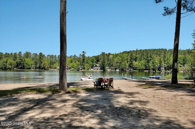 209 Chester Shores Rdg, Chester, NY 12817 - water view featuring a heavily wooded area and a dock