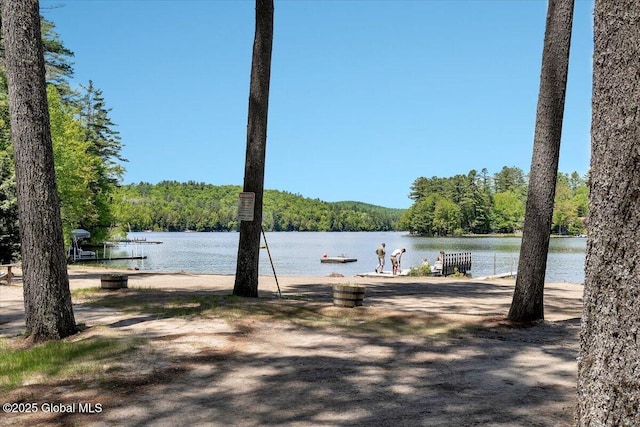 209 Chester Shores Rdg, Chester, NY 12817 - water view featuring a heavily wooded area and a dock