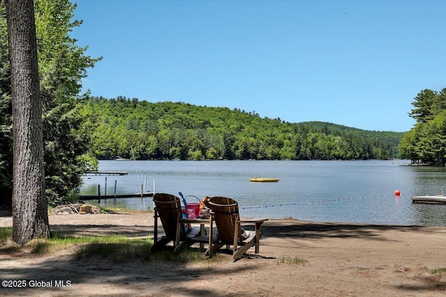 209 Chester Shores Rdg, Chester, NY 12817 - water view featuring a heavily wooded area