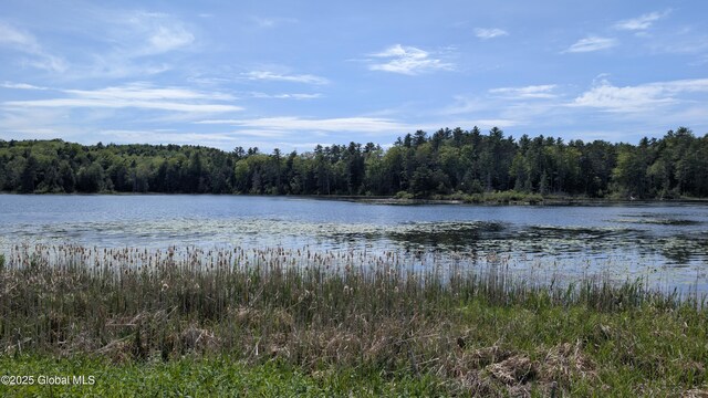 L18.4 Holcombville Rd, Whitehall, NY 12887 - photo 7