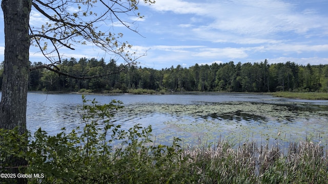 L18.4 Holcombville Rd, Whitehall, NY 12887 - photo 1