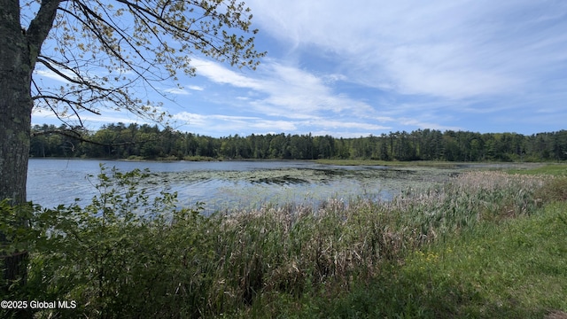 L18.4 Holcombville Rd, Whitehall, NY 12887 - photo 3