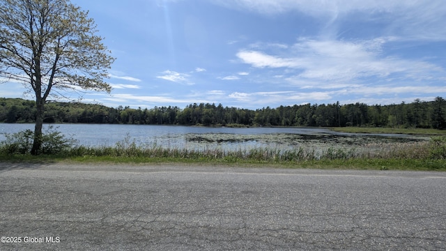 L18.4 Holcombville Rd, Whitehall, NY 12887 - photo 4