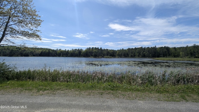L18.4 Holcombville Rd, Whitehall, NY 12887 - photo 5