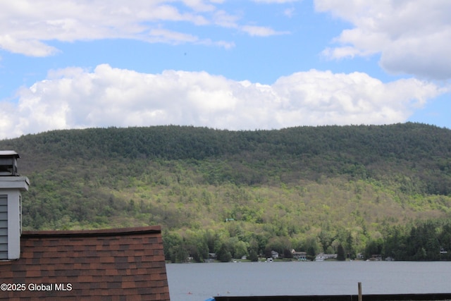 3014 Lake Shore Dr Unit 16C, Lake George, NY 12845 - photo 14