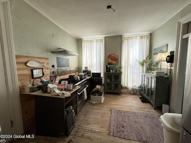 50 W Main St, Cambridge, NY 12816 - kitchen featuring light wood-style flooring, range hood, dark cabinets, and crown molding