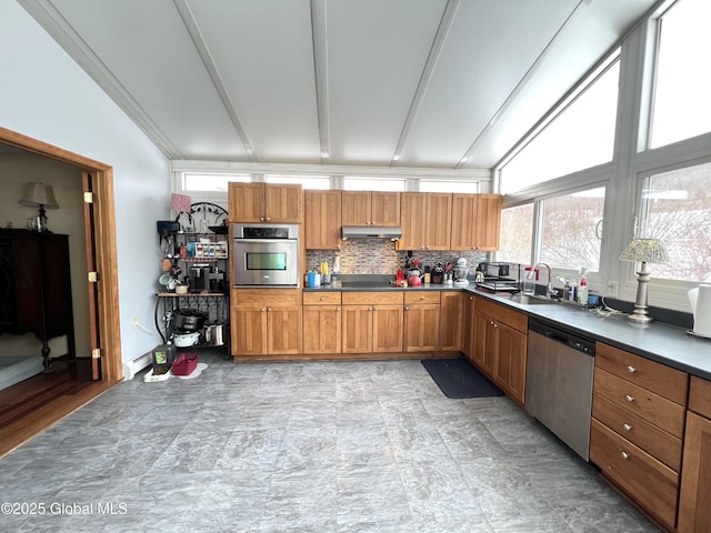 667-669 Ash Grove Rd, White Creek, NY 12816 - kitchen with appliances with stainless steel finishes, under cabinet range hood, a sink, vaulted ceiling, and plenty of natural light
