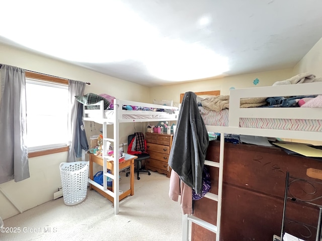 667-669 Ash Grove Rd, White Creek, NY 12816 - bedroom with carpet