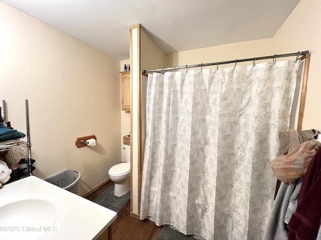 667-669 Ash Grove Rd, White Creek, NY 12816 - bathroom with wood finished floors, vanity, toilet, and a shower with curtain