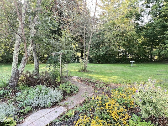 667-669 Ash Grove Rd, White Creek, NY 12816 - view of green lawn