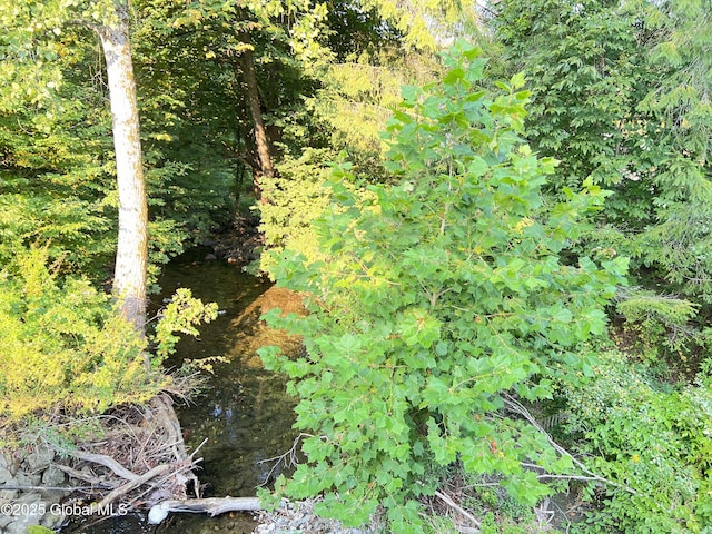 667-669 Ash Grove Rd, White Creek, NY 12816 - view of nature