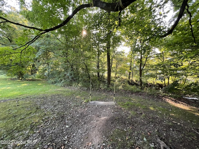 667-669 Ash Grove Rd, White Creek, NY 12816 - view of yard with a forest view